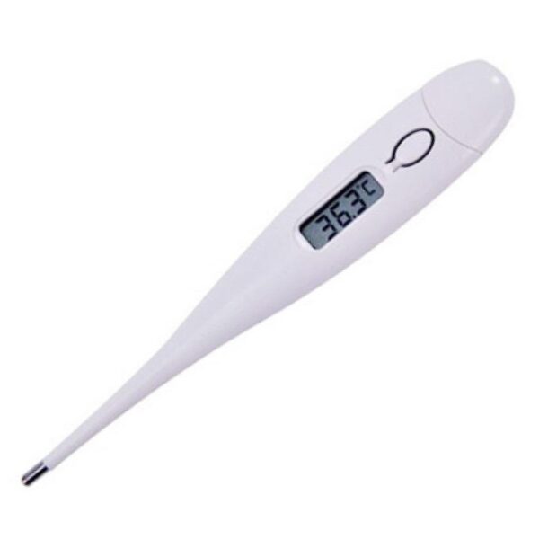 Electronic Thermometers RF-888